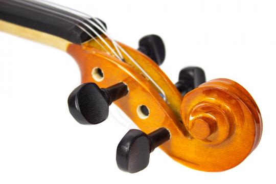 Скрипка 1/8 Livingstone L-VP01 1/8 - Скрипка 1/8 - фото 7