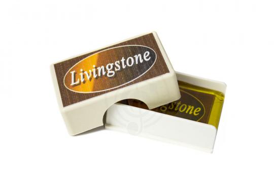 Скрипка 1/8 Livingstone L-VP01 1/8 - Скрипка 1/8 - фото 14