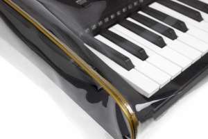 Изображение Magic Music Bag ПН-1(1) PSR-EW320