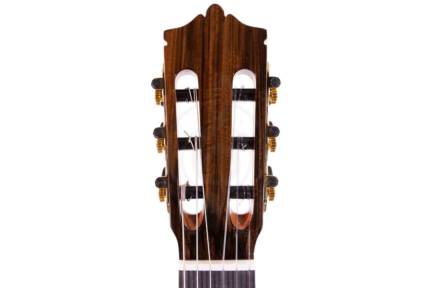 Классическая гитара 4/4 Martinez MC-20S-CE Elementary Series - Классическая гитара со звукоснимателем - фото 2