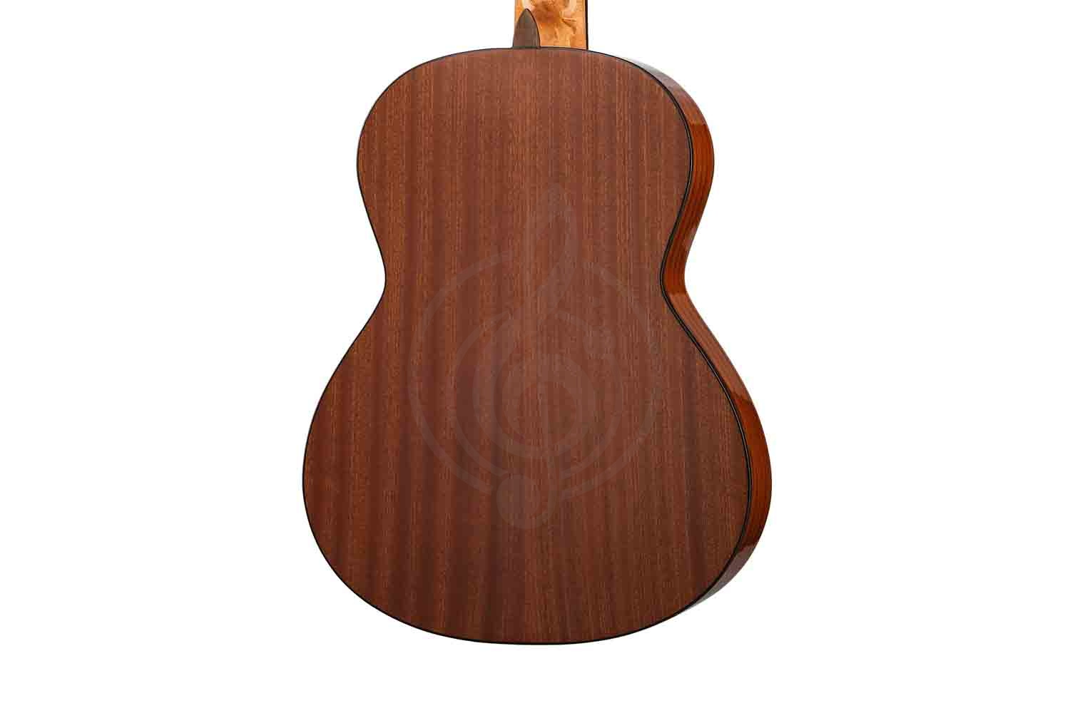 Классическая гитара 3/4 Martinez MC-20S-JUN Elementary Series - Классическая гитара 3/4 - фото 2