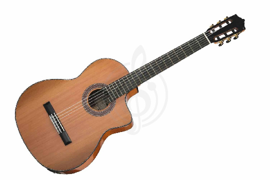 Классическая гитара 4/4 Martinez MC-48C-CE Standard Series - Классическая гитара - фото