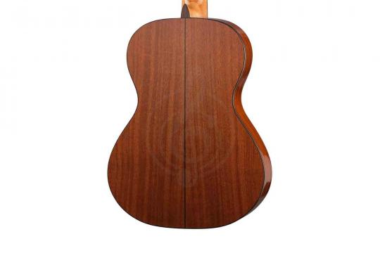 Классическая гитара 4/4 Martinez MC-48S 4/4 - Классическая гитара - фото 3