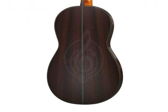 Классическая гитара 4/4 Martinez MF-15 - Классическая гитара - фото 3