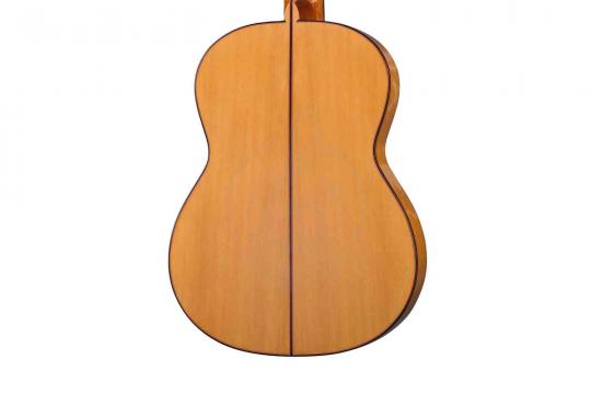 Классическая гитара 4/4 Martinez MF-17 - Классическая гитара - фото 3