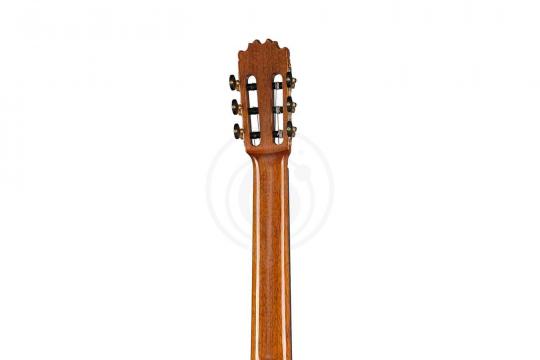 Классическая гитара 4/4 Martinez MF-7 - Классическая гитара - фото 5