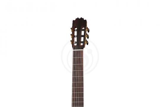 Классическая гитара 4/4 Martinez MM2 - Классическая гитара - фото 7