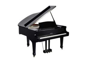 Изображение Medeli GP805