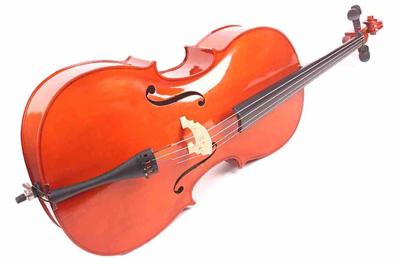 Виолончель 4/4 Mirra CB-290-4/4 - Виолончель 4/4 в футляре со смычком - фото 1