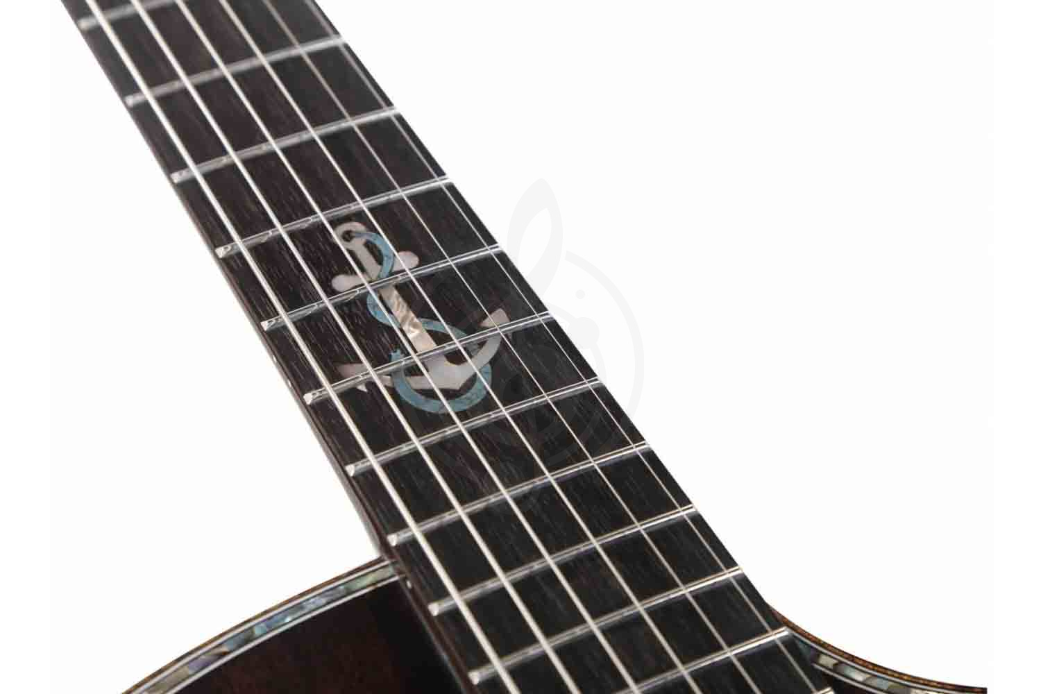 MOLLO GAC-02 - Акустическая гитара - фото 15 Акустическая гитара MOLLO GAC-02 - Акустическая гитара - фото 15