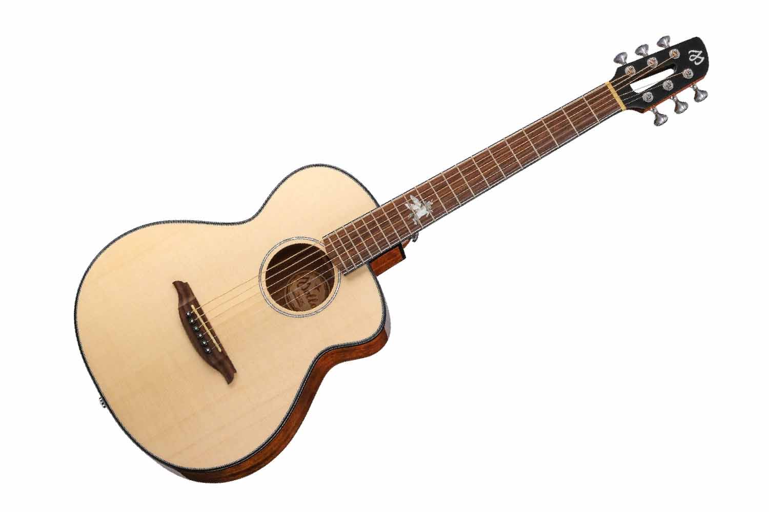 Акустическая гитара Mollo Guitar TM-12C - Акустическая гитара - фото 1