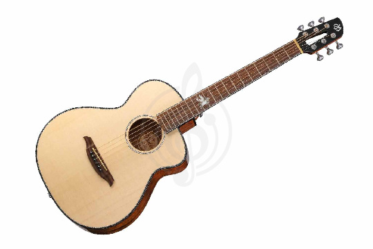 Акустическая гитара Mollo Guitar TM-12C - Акустическая гитара - фото 1