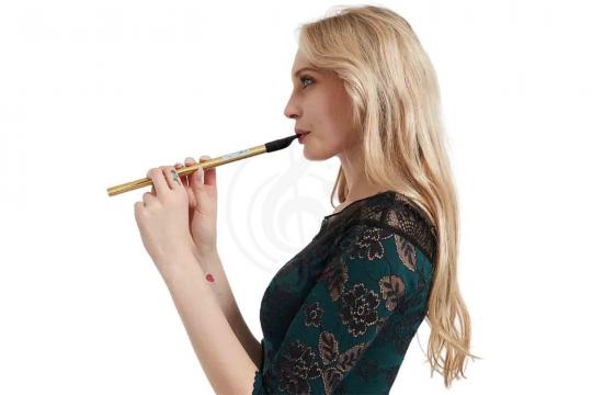 Вистл Naomi Irish Tin Whistle Aluminum D Gold - Тин Вистл Ре Алюминий - фото 2