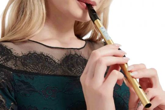 Вистл Naomi Irish Tin Whistle Brass D Gold - Тин Вистл Ре Латунь - фото 5