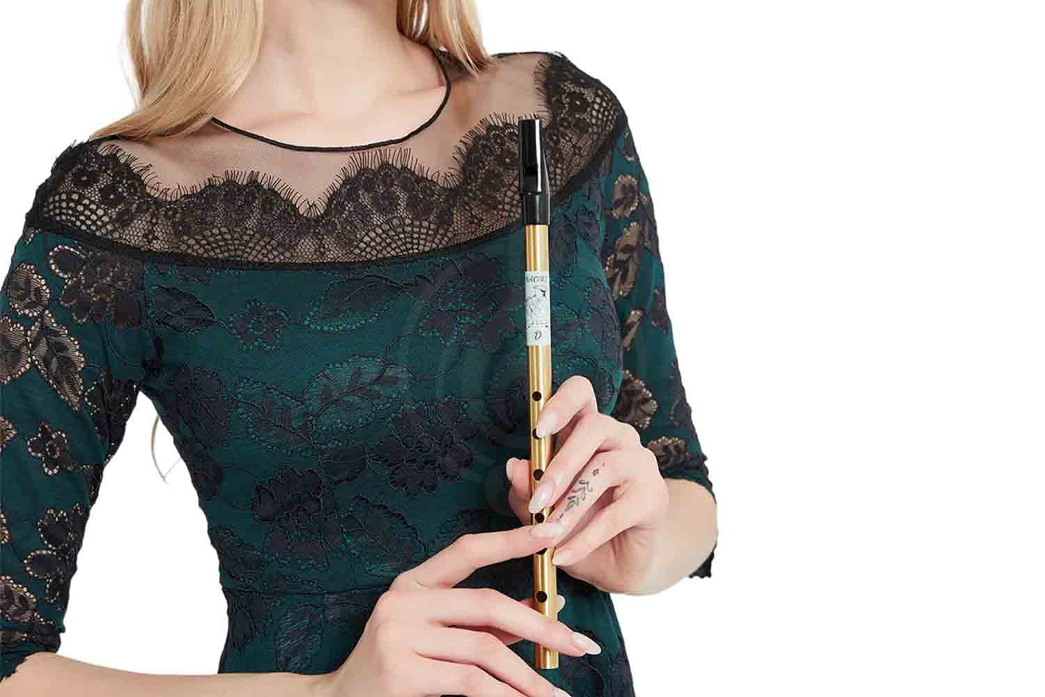 Вистл Naomi Irish Tin Whistle Brass D Gold - Тин Вистл Ре Латунь - фото 6