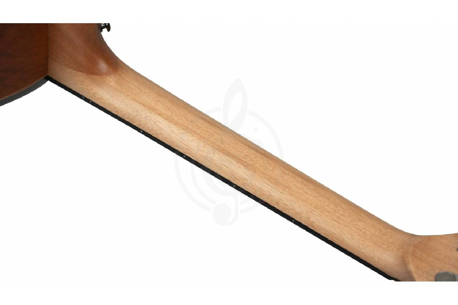 Акустическая гитара NATASHA Jupiter JC 41 - Гитара акустическая - фото 13