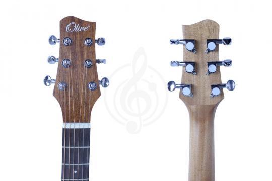 Акустическая гитара Olive AC-SM - Акустическая гитара - фото 