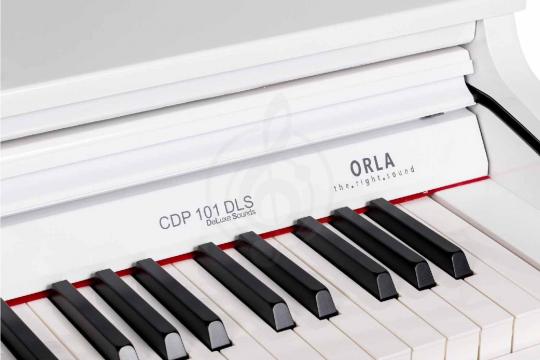 Цифровое пианино Orla CDP-101-POLISHED-WHITE - Цифровое пианино - фото 2