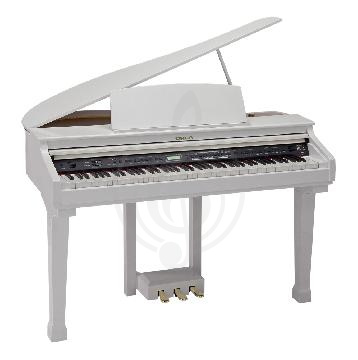 Изображение Цифровой рояль Orla Grand 110 White