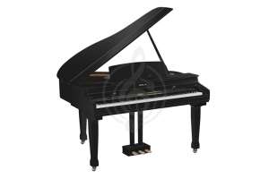 Изображение Orla Grand 310 Black