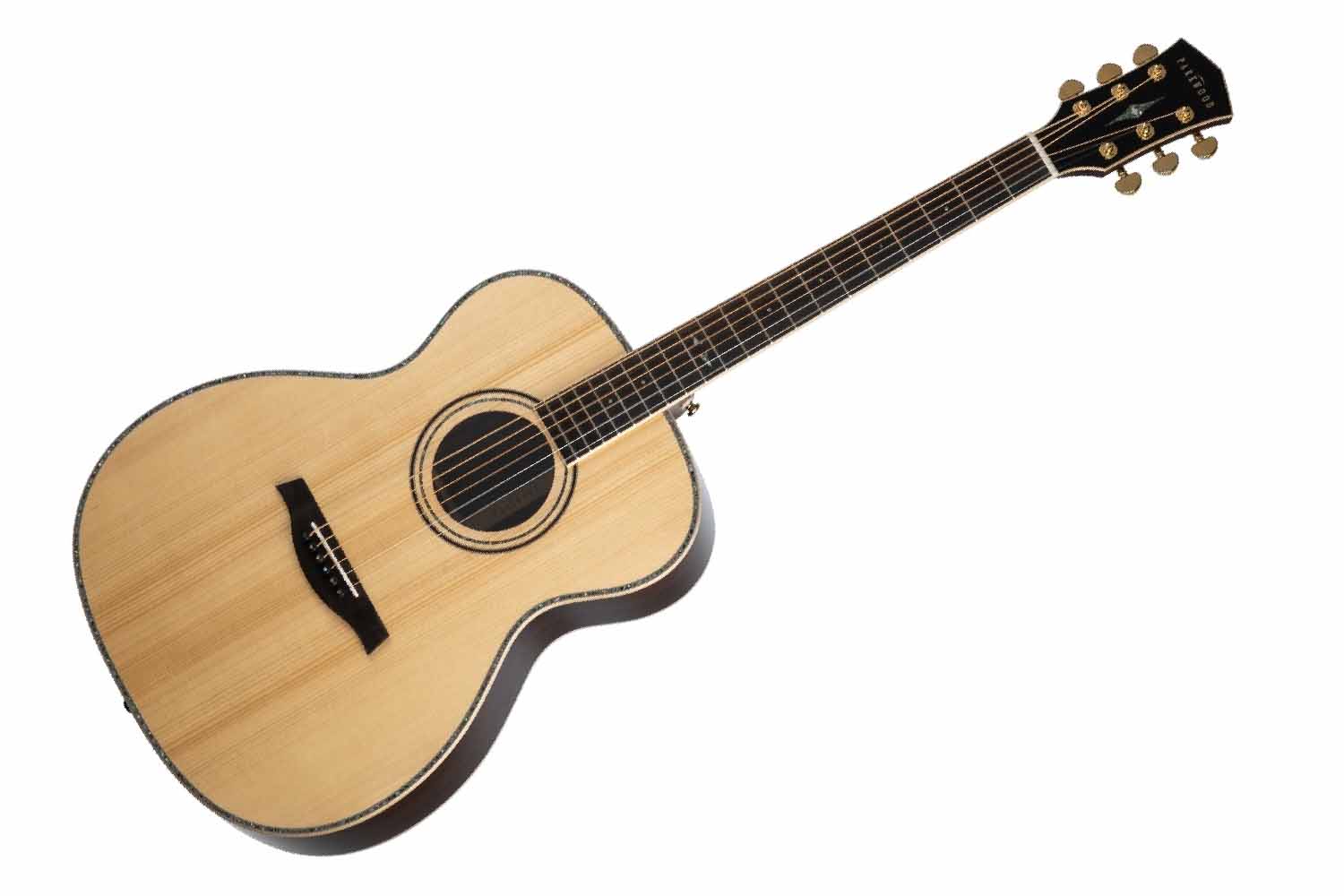 Акустическая гитара Parkwood P820ADK-WCASE-NAT - Акустическая гитара - фото 1