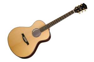 Изображение Parkwood P880-WCASE-NAT