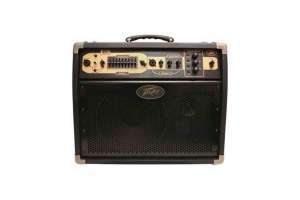 Изображение Peavey Ecoustic E110 1x10' - Комбоусилитель для акустической гитары, 2 канала