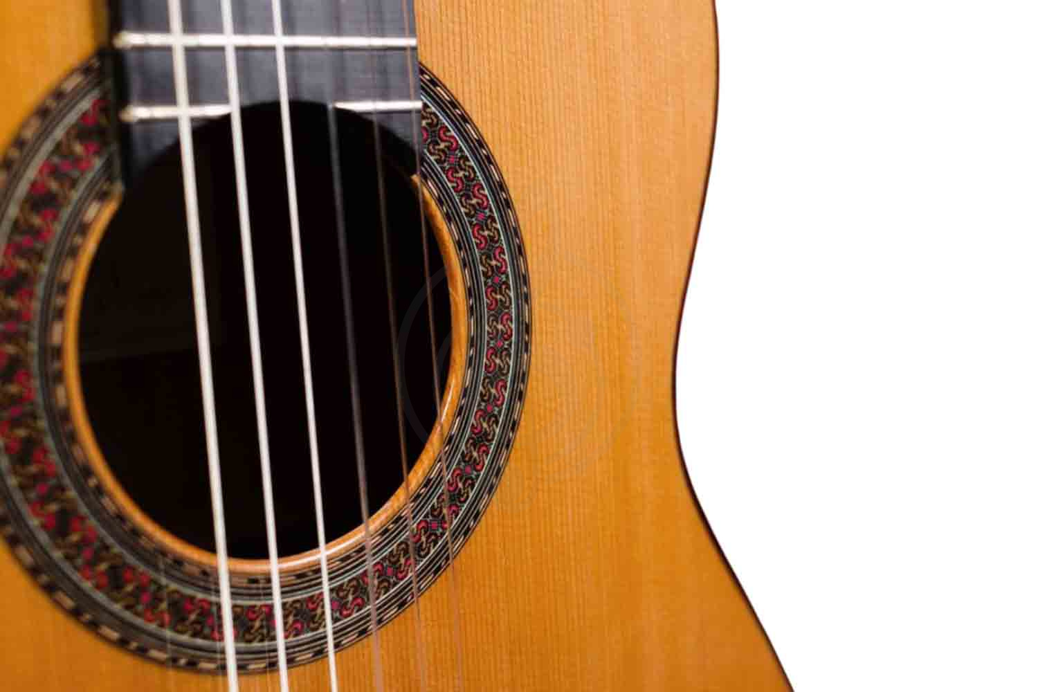 Классическая гитара 4/4 PEREZ 640 Cedar - Классическая гитара - фото 2