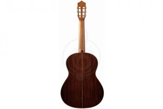 Классическая гитара 4/4 PEREZ 640 Spruce - Классическая гитара 4/4 - фото 2