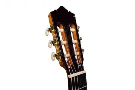 PEREZ 650 Cedar - Классическая гитара - фото 2 Классическая гитара 4/4 PEREZ 650 Cedar - Классическая гитара - фото 2