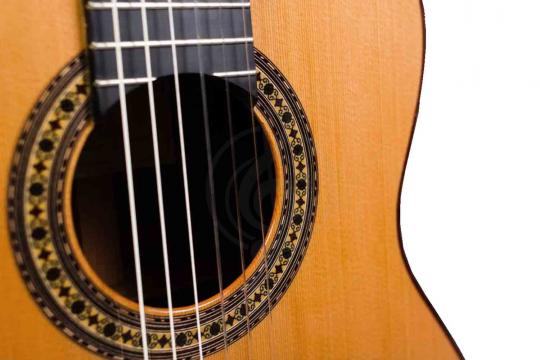 PEREZ 650 Cedar - Классическая гитара - фото 4 Классическая гитара 4/4 PEREZ 650 Cedar - Классическая гитара - фото 4