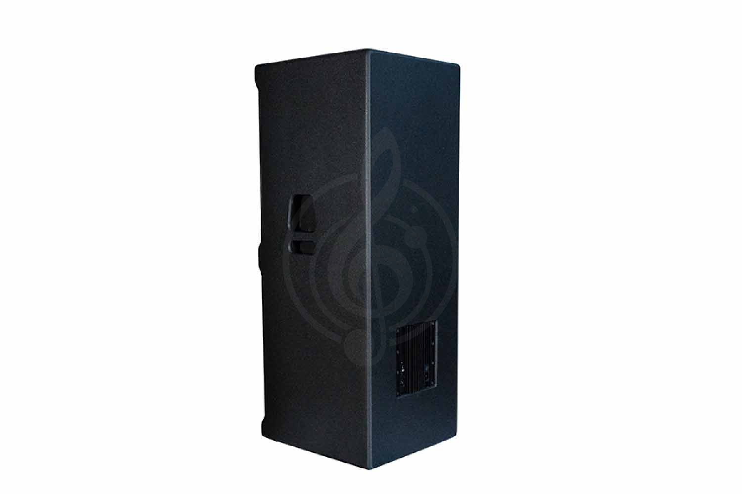 Активная акустическая система Port Audio TDS215A PRO - Акустическая система - фото 2