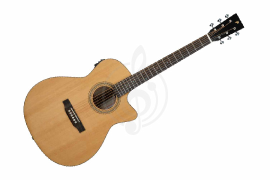 Электроакустическая гитара Prodipe JMFSA300CEQ - Электроакустическая гитара - фото 1