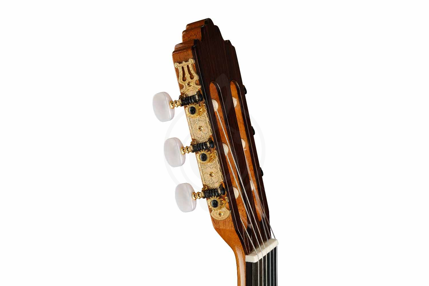 Классическая гитара 4/4 Prodipe JMFSOLOIST700 - Классическая гитара - фото 2