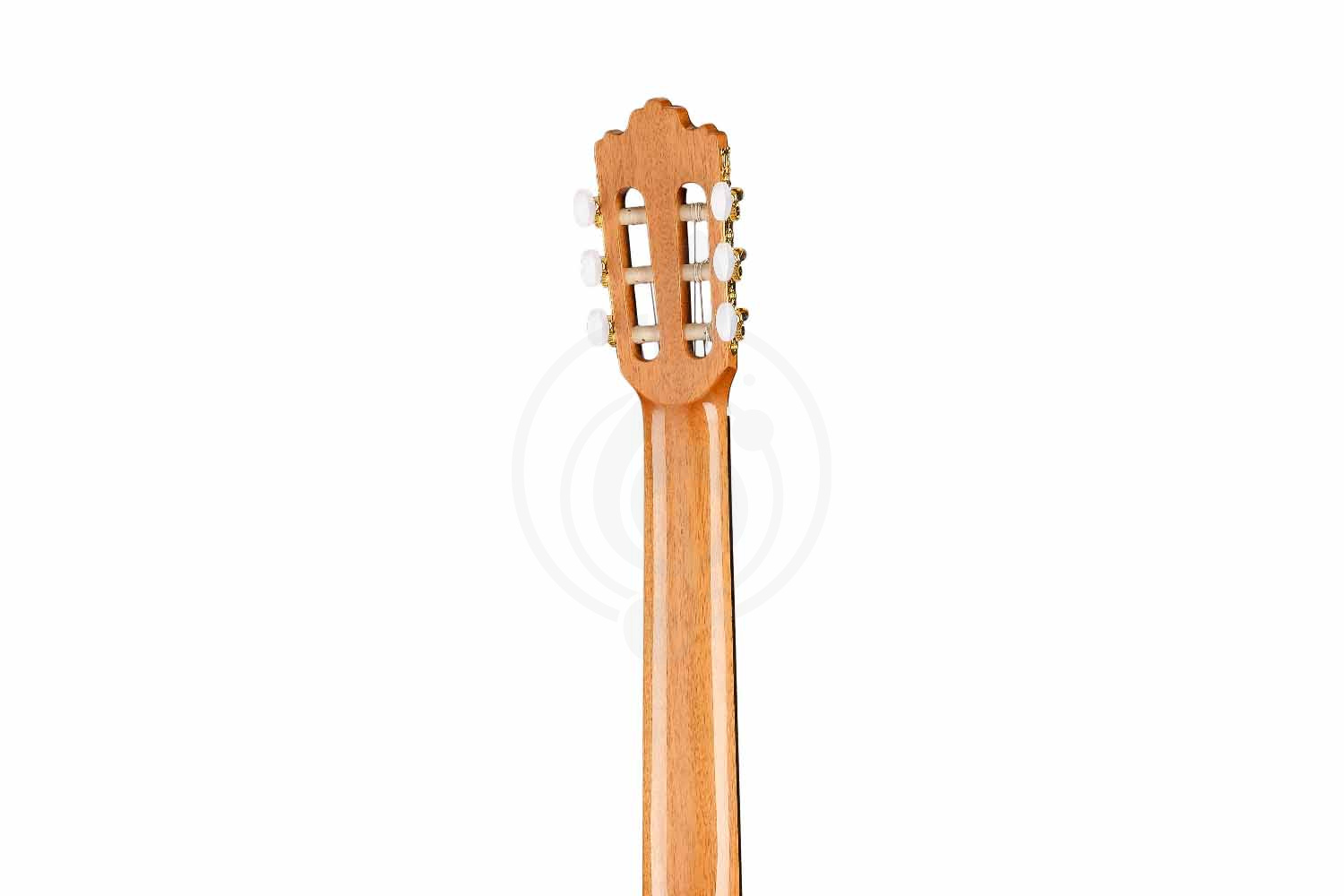 Классическая гитара 4/4 Prodipe JMFSOLOIST700 - Классическая гитара - фото 3