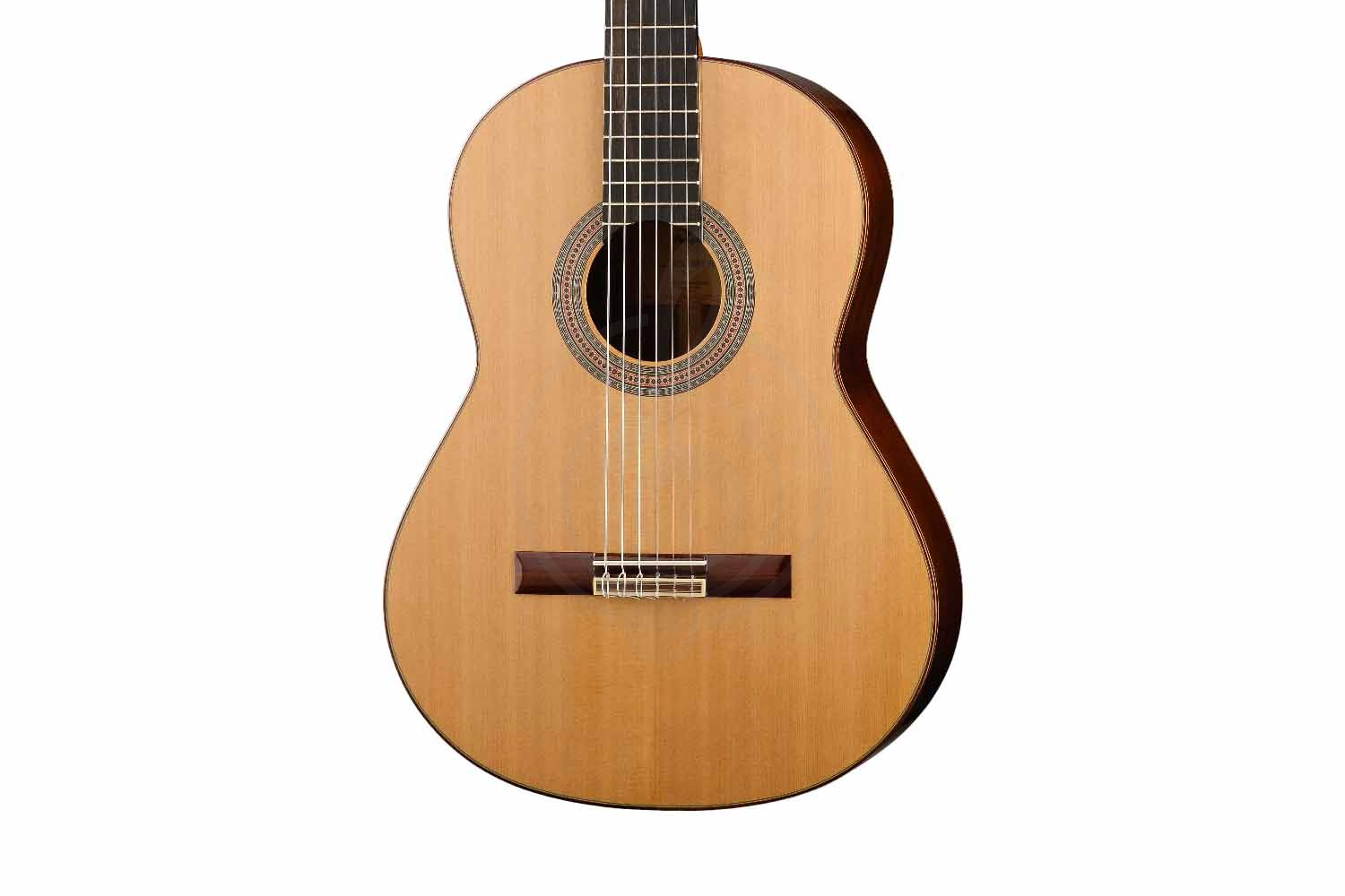 Классическая гитара 4/4 Prodipe JMFSOLOIST700 - Классическая гитара - фото 6