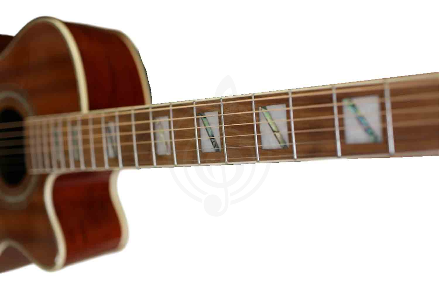 Акустическая гитара Ramis RA-C02C - Акустическая гитара - фото 5