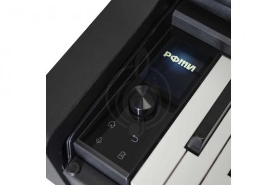 Цифровое пианино РФМИ DP500BK - Цифровое фортепиано с банкеткой, цвет черный - фото 3