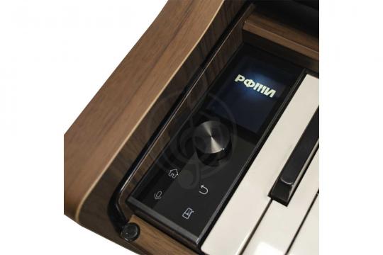 Цифровое пианино РФМИ DP500Walnut - Цифровое фортепиано с банкеткой, цвет коричневый - фото 3