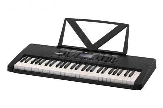 Rin RK-101 - Синтезатор - фото 2 Синтезатор Rin RK-101 - Синтезатор - фото 2