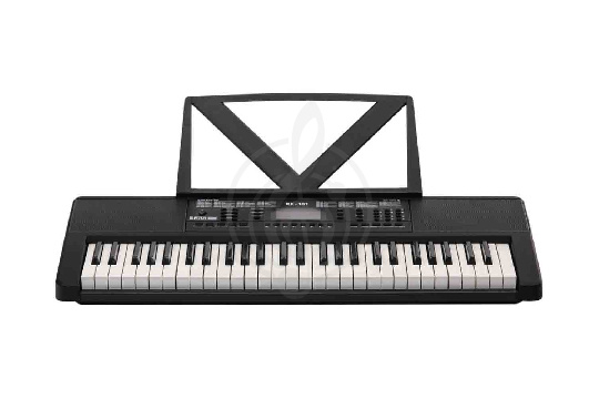 Rin RK-101 - Синтезатор - фото 1 Синтезатор Rin RK-101 - Синтезатор - фото 1