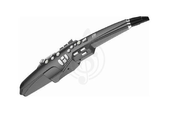 Изображение Саксофон электронный Roland Aerophone AE-10G