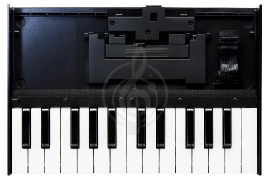 Изображение Roland K-25M