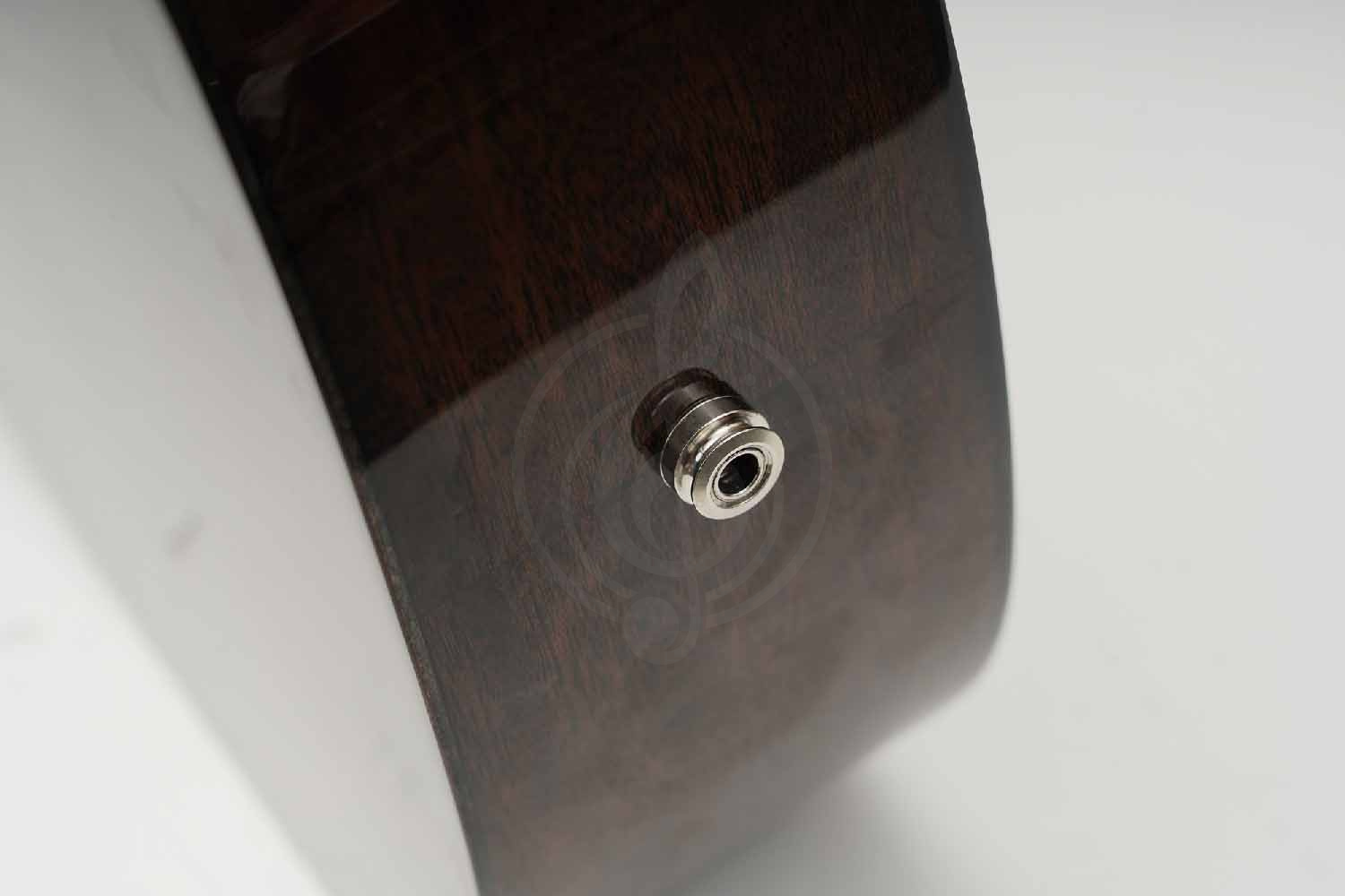 Трансакустическая гитара Root Note TA220-TB - Гитара трансакустическая - фото 8