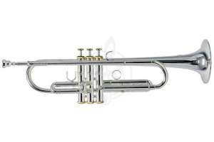 Изображение Roy Benson Charli Green Signature Model