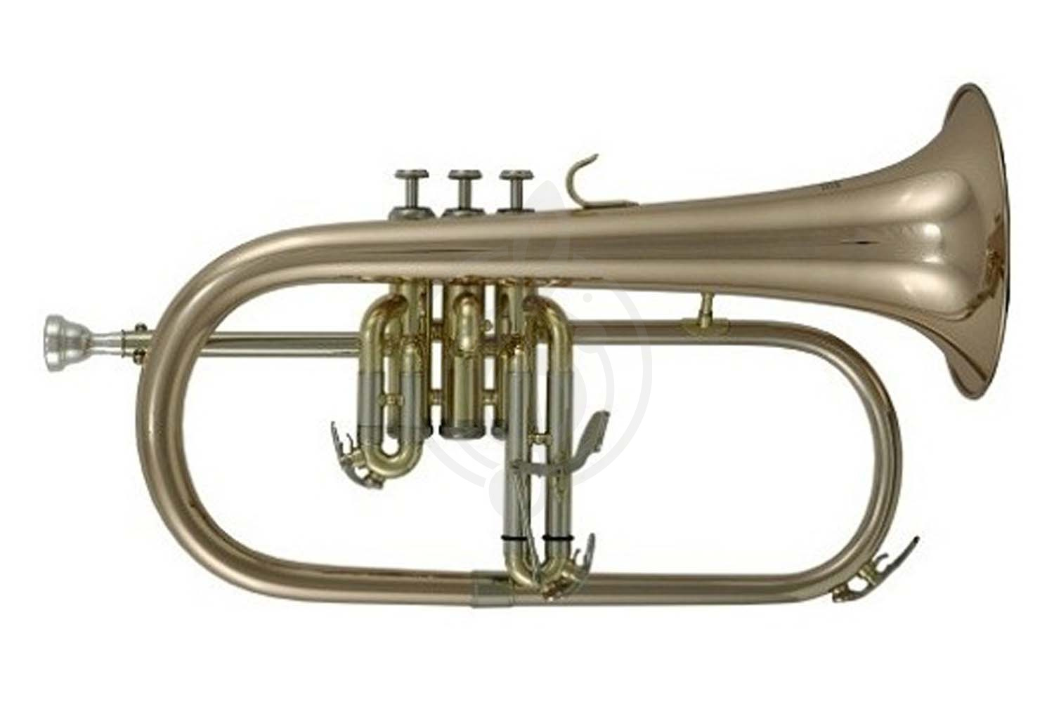 Флюгельгорн ROY BENSON FH-302G Bb - Флюгельгорн - фото 1