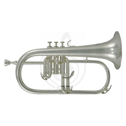 Флюгельгорн ROY BENSON FH-302S Bb - Флюгельгорн - фото 1