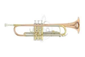Изображение Roy Benson TR-202G