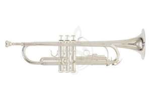 Изображение Roy Benson TR-202S