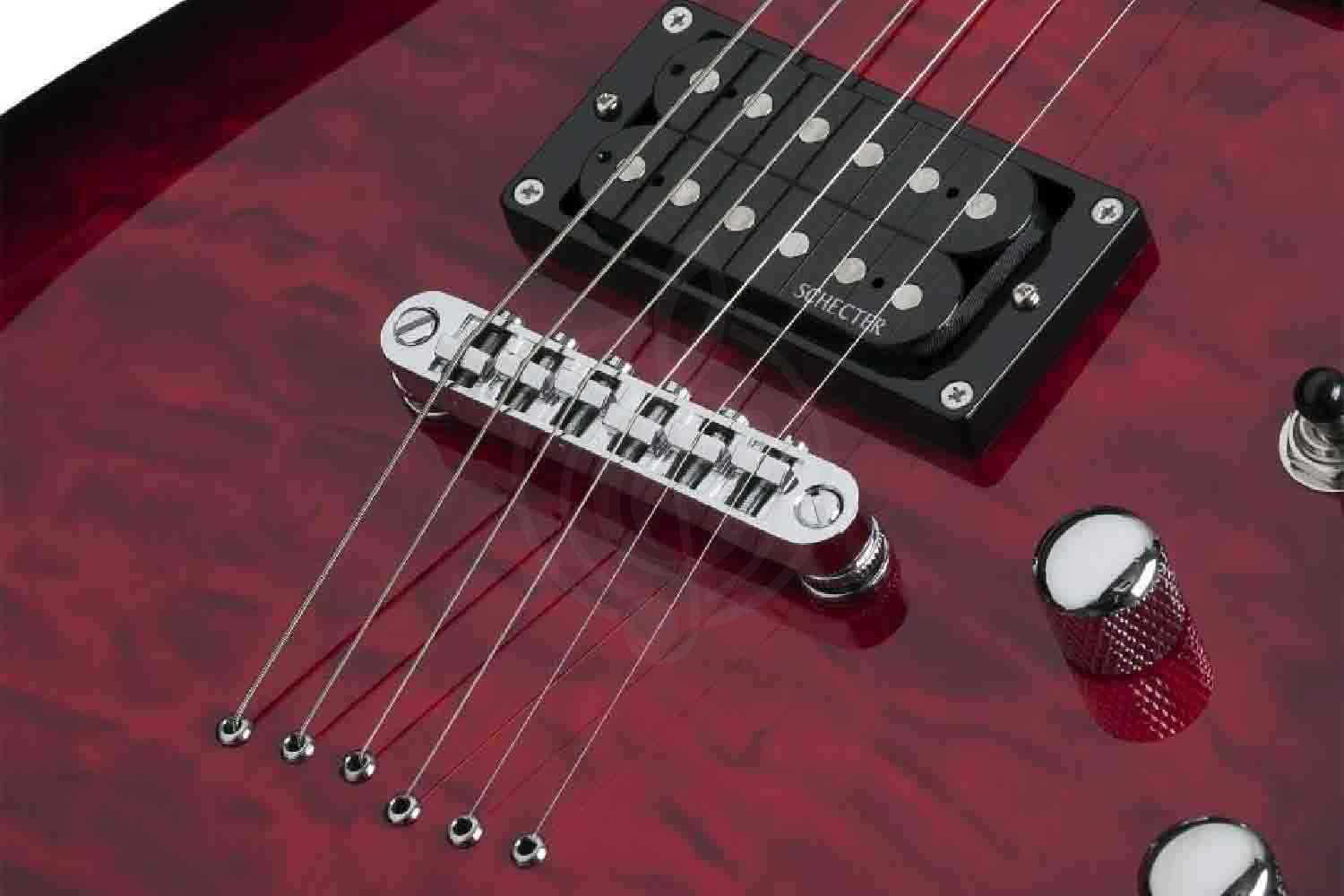 Электрогитара Superstrat Schecter C-6 PLUS STCB - Электрогитара Superstrat - фото 5